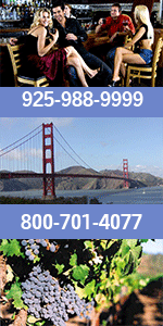 Napa and Sonoma Wine Tours