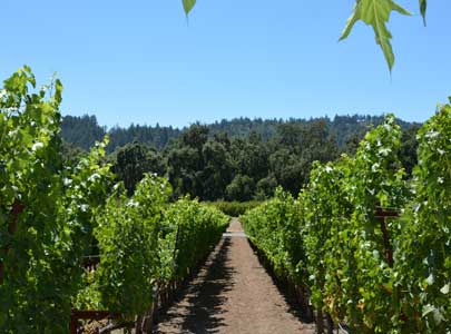 Corporate Transportation